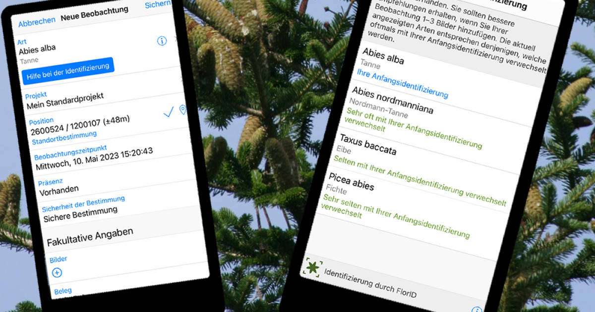 Hosentaschen-Botaniker-f-r-das-Phone