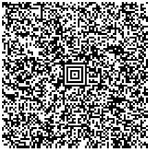 2D-Code auf einem Online-Ticket der SBB. 4450.jpg
