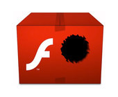 flash-logo_mit_loch.jpg