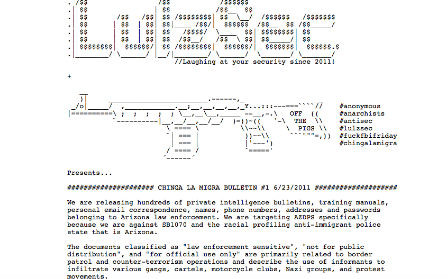 LulzSec unterstützt Migranten computerworld.ch