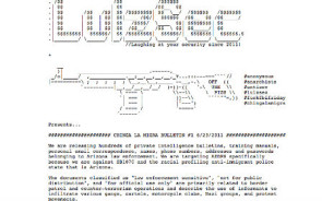 lulzsec_screenshot.jpg 