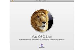 lion-installation.jpg 