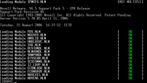 NetWare_console_screenshot.png 