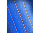 University-illinois-pop-eric-blue_three_v1a_b.jpg
