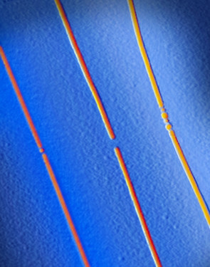 University-illinois-pop-eric-blue_three_v1a_b.jpg 