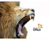 Lion_Office.jpg