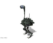 robo_ostrich_strauss.jpg