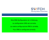 dns-check_ch_switch.png