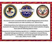 megaupload_fbi-meldungbanner.jpg