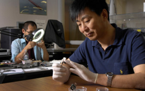 university_of_south_caroline_xiaodong_li_and_lihong_bo.jpg 