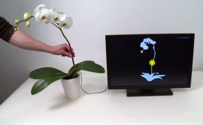 disney_botanicus_interacticus.jpg 