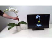 disney_botanicus_interacticus.jpg