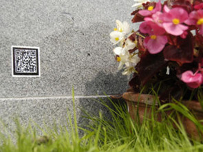 QRCode.jpg 
