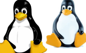 Open_Source_Tux_Linux.jpg 