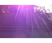 iphone_5_lila_bild.jpg