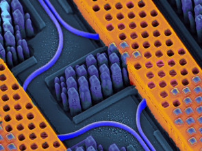 SiliconNanophotonic.jpg 