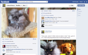 facebook_colonel_meow.jpg 