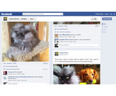 facebook_colonel_meow.jpg