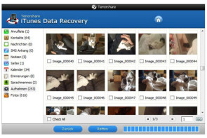 itunes_data_recovery_screen.jpg 