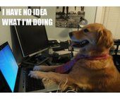 NoIdeaWhatImDoing.jpg