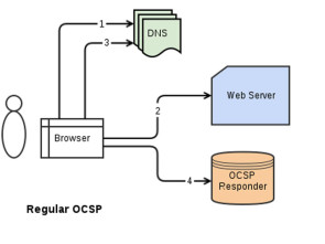 OCSP.jpg 