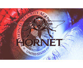 hornet_teaser.jpg