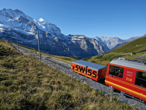 _swiss.gif 