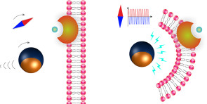 ethz_microroboter.png 