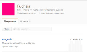 fuchsia_on_github1.png 