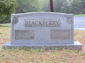 blackberry_teaser.gif 