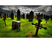 friedhof.jpg
