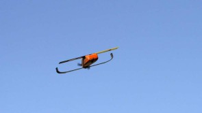 perdix-drone-drohne.jpg 