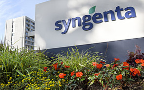 Syngenta-rosental-1.jpg 