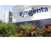 Syngenta-rosental-1.jpg