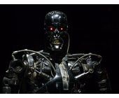 Terminator_Exhibition_T-800.jpg