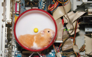 Lead_Hamster.jpg 