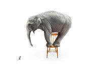 Lead_Elefant-und-Maus.jpg
