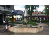 reinach-bl-dorfbrunnen.jpg
