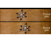epfl_tripod-bipod.jpg