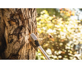 Axt_Baum_faellen_Teaser.jpg