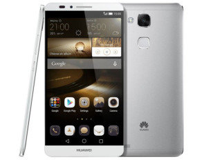 Mate71.jpg 