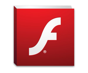 GovCert warnt vor gefährlicher Flash-Lücke