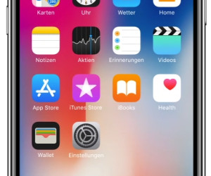 iPhone X muckt bei der Anrufentgegennahme