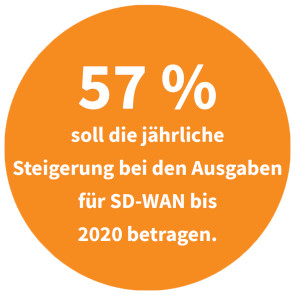 Jährliche Steigerung von Ausgaben für SD-WAN