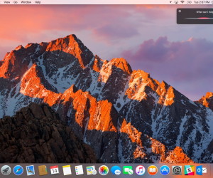 Das Ende von 32 Bit: Welche Mac-Software braucht ein Update?