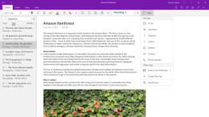 OneNote