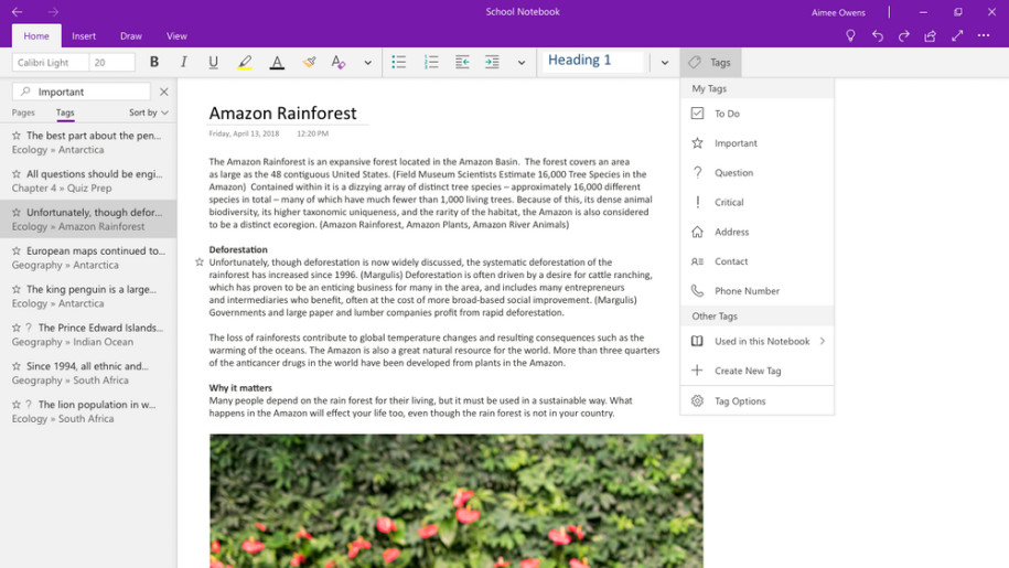 uninstall onenote 2019 windows 10