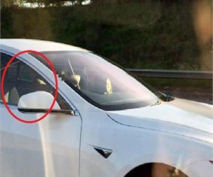 Tesla-Fahrer lässt sich chauffieren - Billett weg