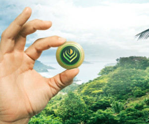 IBM und Veridium nutzen die Blockchain für den Umweltschutz