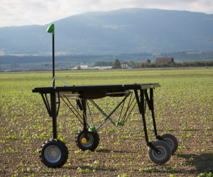 Roboter im Kampf gegen das Unkraut